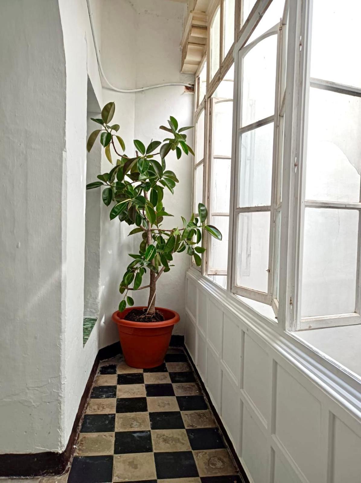 Apartamento Precioso Apartamento: La Luz De